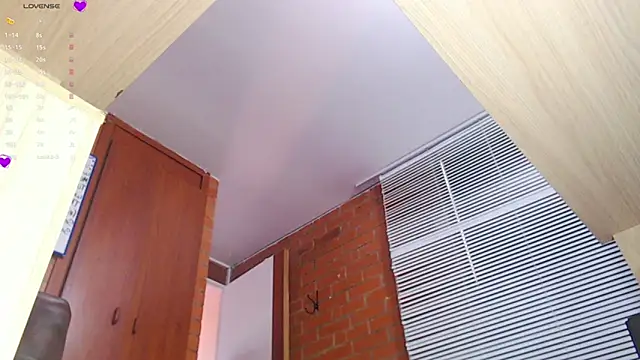 Snapshot of Salome-sw chatting on September 2025 09:05:01 PM Salome-sw online show from September 2025 09:05:01 PM