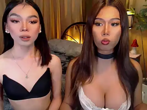 TWINKTRANSSHANEL online show from October 2025 04:21:02 AM