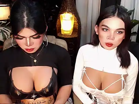 TWINKTRANSSHANEL online show from November 2025 04:45:02 AM