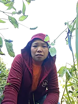 miomio-12 online show from November 2025 03:09:02 AM