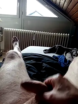 ImperlPerverso59 online show from October 2025 12:24:02 PM