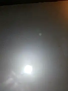 Snapshot of T1T012 chatting on February 2026 01:34:01 AM T1T012 online show from February 2026 01:34:01 AM