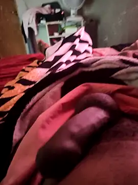 picadme online show from October 2025 05:10:02 PM