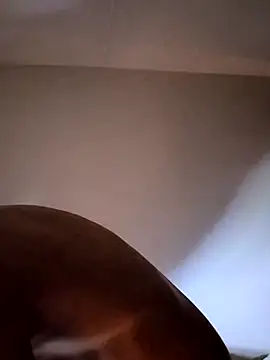 felipelon07 online show from November 2025 05:10:01 AM