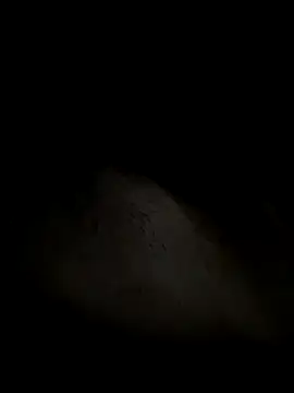 leiteiro2002 online show from October 2025 02:41:02 AM