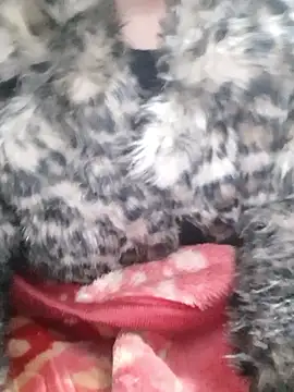 Mahi677 online show from January 2026 06:43:02 PM