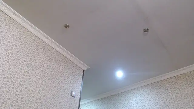 maybe doll online show from October 2025 08:20:01 PM