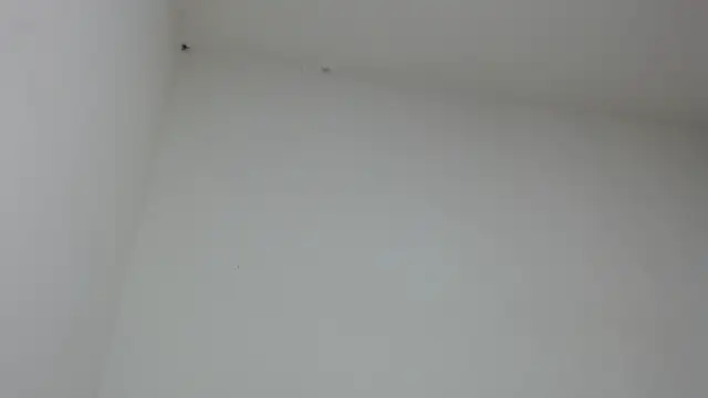 drako monster online show from January 2026 09:46:01 PM