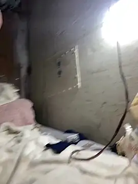 Nectarioteins online show from February 2026 05:24:01 AM