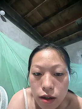 Zerin nova online show from November 2025 06:59:02 AM