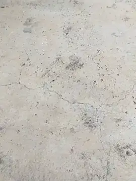 muhamed97 online show from October 2025 12:08:02 PM