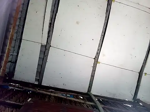 Cherry pusy99 online show from October 2025 03:23:02 AM