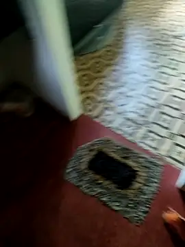 Shanudri77 online show from November 2025 05:40:01 AM