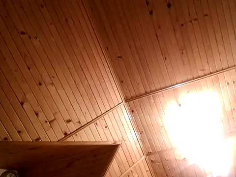 tibci12789 online show from December 2025 07:54:02 PM