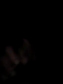 Kiotes online show from December 2025 07:48:02 AM