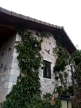 siusiu-00 online show from April 2026 08:26:01 AM