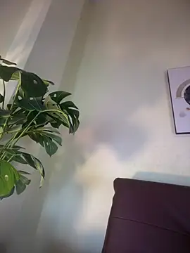 NovaFoxx online show from February 2026 01:52:02 PM