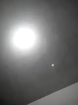 checheludo23 online show from February 2026 12:20:02 AM