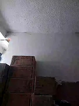 Cristal-sm online show from November 2025 02:28:01 PM