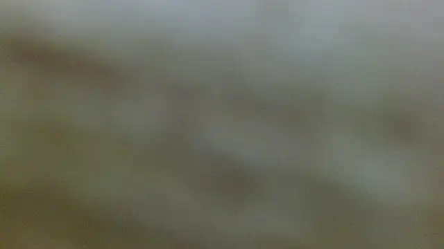 Axel Stones  online show from November 2025 01:21:02 PM