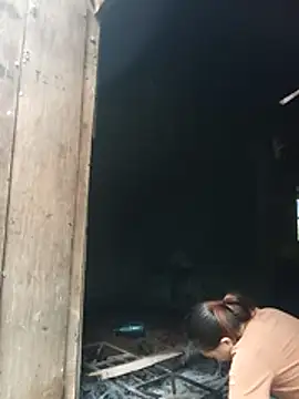 Myzak- online show from July 2026 12:36:01 AM