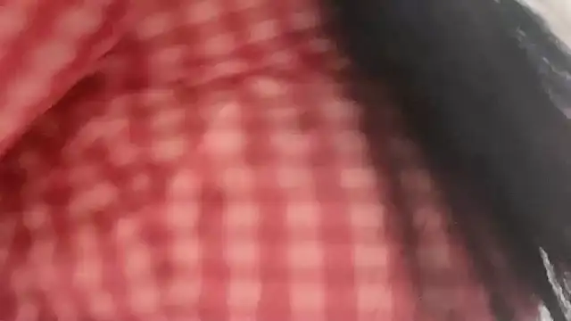 Snapshot of lsevenlll chatting on November 2025 12:35:02 AM lsevenlll online show from November 2025 12:35:02 AM