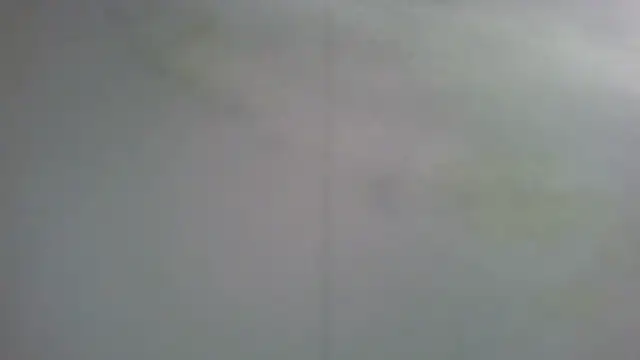 zaubermaeuschen66 online show from December 2025 10:42:02 AM