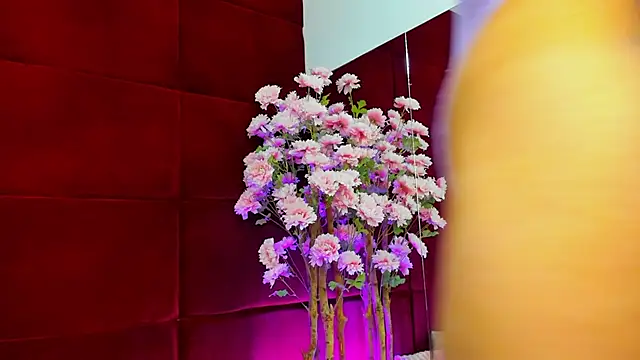 StepMomAnn online show from November 2025 06:55:01 AM