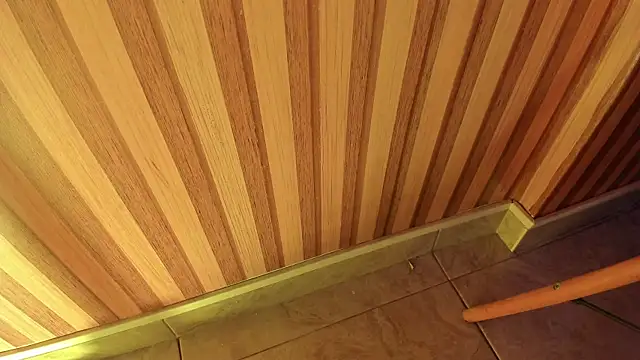 Snapshot of mia__blaze__ chatting on December 2025 03:02:01 AM mia blaze online show from December 2025 03:02:01 AM