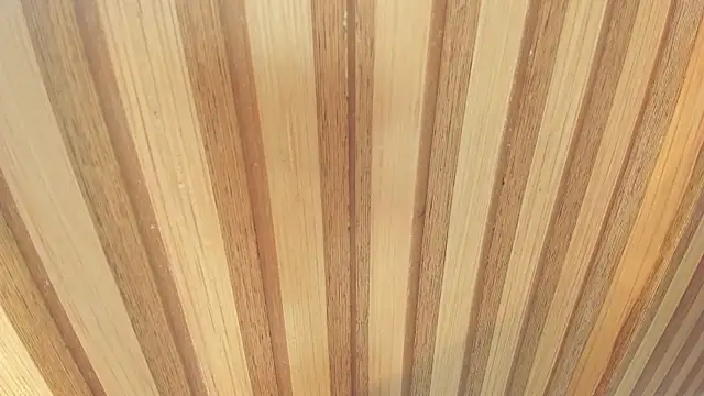 Snapshot of mia__blaze__ chatting on December 2025 03:03:02 AM mia blaze online show from December 2025 03:03:02 AM