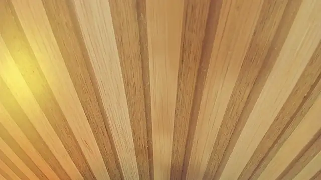 Snapshot of mia__blaze__ chatting on January 2026 03:01:02 AM mia blaze online show from January 2026 03:01:02 AM