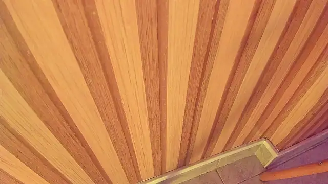 Snapshot of mia__blaze__ chatting on January 2026 03:00:01 AM mia blaze online show from January 2026 03:00:01 AM