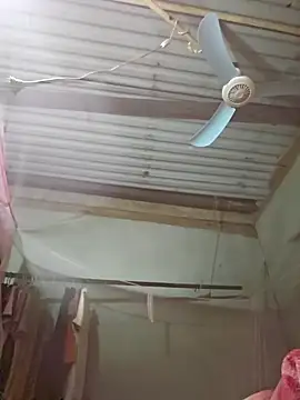 Squirrel-Pear online show from November 2025 02:39:02 PM