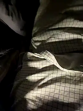 Snapshot of parkpark2 chatting on April 2026 02:29:01 PM parkpark2 online show from April 2026 02:29:01 PM