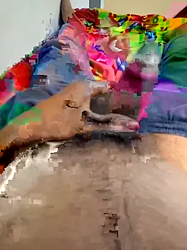 kumarstelugu online show from March 2026 04:13:01 PM