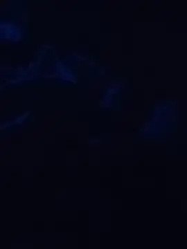 Snapshot of Cedric7653 chatting on February 2026 12:44:01 AM Cedric7653 online show from February 2026 12:44:01 AM