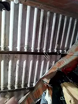 AfroditaSweetxh online show from January 2026 11:03:01 AM