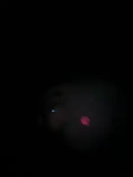 Paapii1098 online show from March 2026 08:04:02 PM