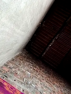 Bear bear0 online show from December 2025 10:17:02 PM