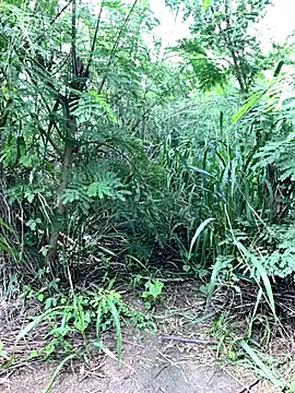 couplesexroom online show from November 2025 08:03:02 AM