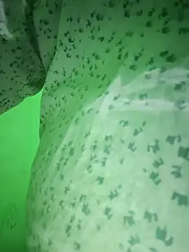 Snapshot of IamRamesh chatting on October 2025 01:25:01 PM IamRamesh online show from October 2025 01:25:01 PM