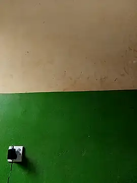 Snapshot of cutepussy356 chatting on November 2025 06:15:02 AM cutepussy356 online show from November 2025 06:15:02 AM