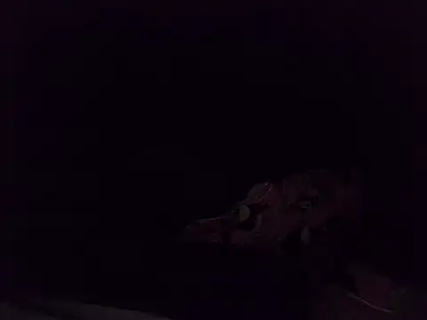 boldiva89 online show from October 2025 01:35:01 AM