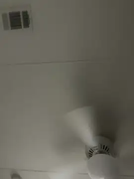 Snapshot of D13ON3L chatting on November 2025 08:03:02 AM D13ON3L online show from November 2025 08:03:02 AM