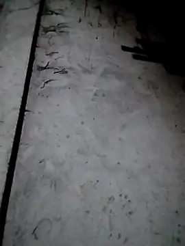 rickkis2k online show from December 2025 09:53:01 PM