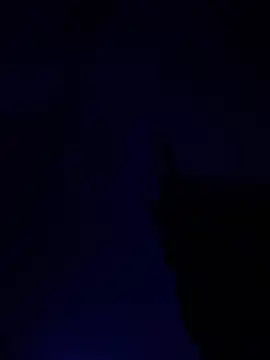 alfarabisami online show from June 2026 09:03:02 PM