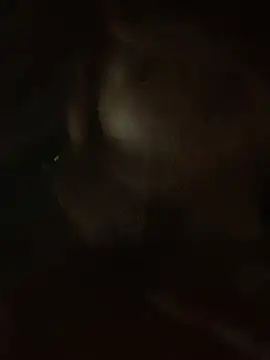 Snapshot of Lara-11 chatting on February 2026 06:43:02 AM Lara-11 online show from February 2026 06:43:02 AM