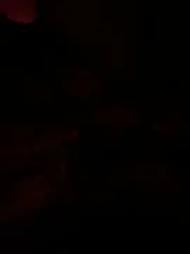 llllllllIIIll online show from March 2026 08:18:01 AM