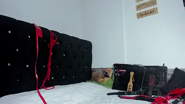 Snapshot of abby_mullerr chatting on December 2025 09:57:01 PM abby mullerr online show from December 2025 09:57:01 PM