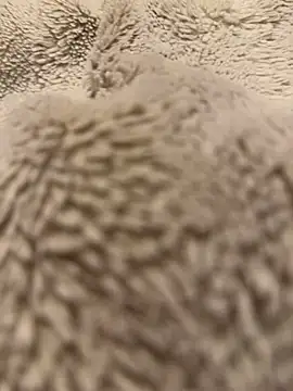 Jackoff2345 online show from February 2026 05:25:02 AM